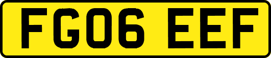 FG06EEF