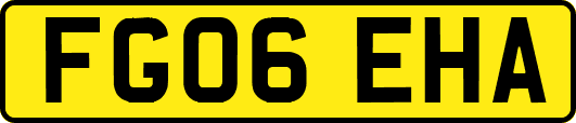 FG06EHA