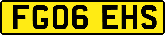 FG06EHS