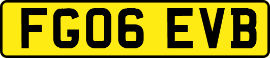 FG06EVB