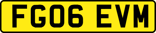 FG06EVM
