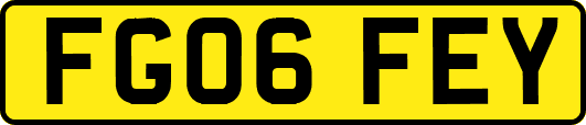 FG06FEY