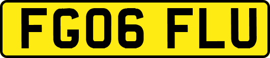 FG06FLU