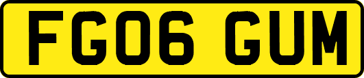 FG06GUM