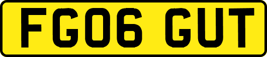 FG06GUT