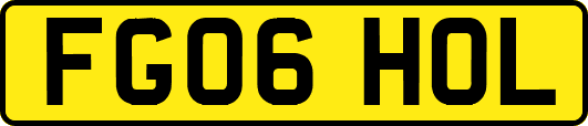 FG06HOL