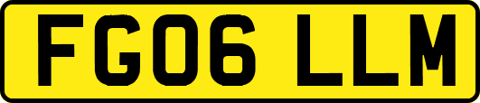 FG06LLM