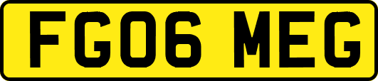 FG06MEG