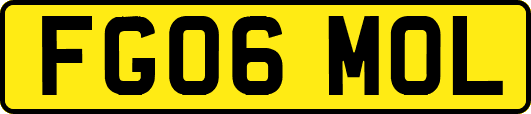 FG06MOL