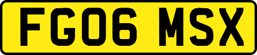 FG06MSX