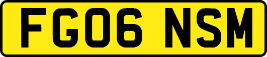 FG06NSM