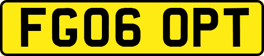 FG06OPT