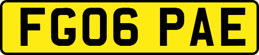 FG06PAE