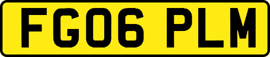 FG06PLM