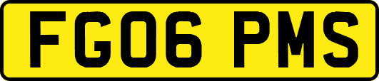 FG06PMS