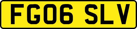 FG06SLV