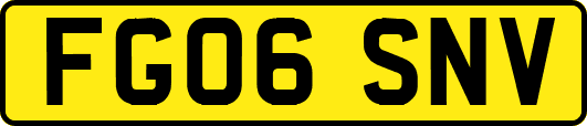 FG06SNV
