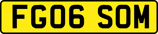 FG06SOM