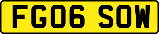 FG06SOW