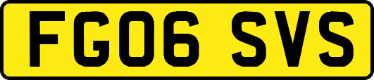FG06SVS