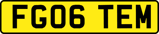 FG06TEM