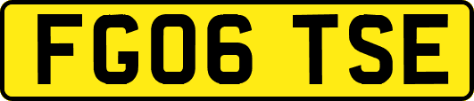 FG06TSE