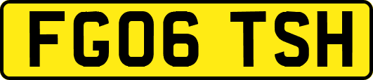 FG06TSH