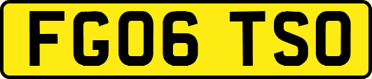FG06TSO