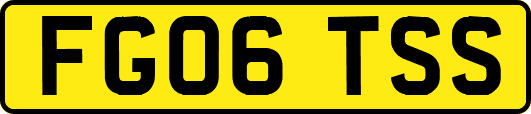 FG06TSS