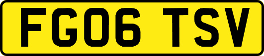 FG06TSV
