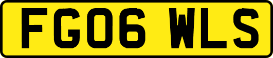 FG06WLS
