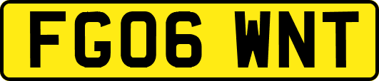 FG06WNT