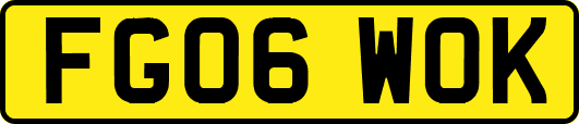FG06WOK