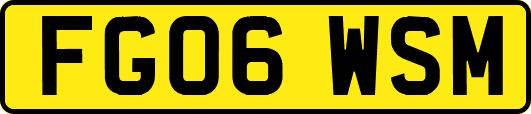 FG06WSM
