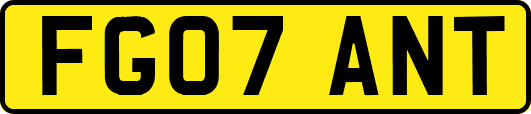FG07ANT