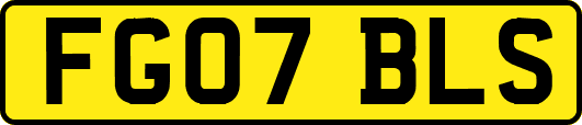 FG07BLS
