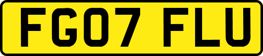 FG07FLU