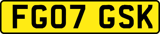 FG07GSK