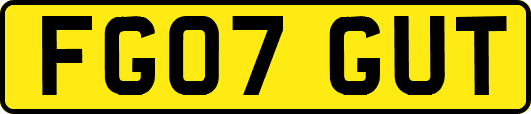 FG07GUT