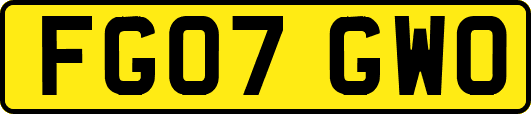 FG07GWO