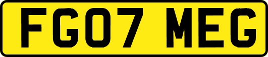 FG07MEG