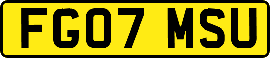 FG07MSU