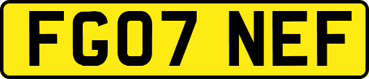 FG07NEF