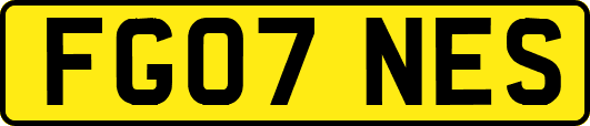 FG07NES