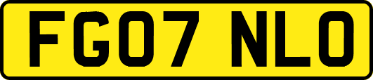 FG07NLO