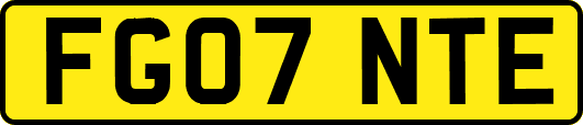 FG07NTE