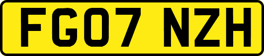 FG07NZH