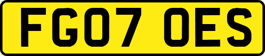FG07OES