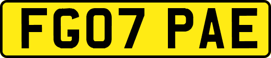 FG07PAE