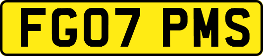 FG07PMS